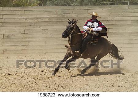 Stock Image - Huaso On Horseback During A Chilean Rodeo At The Medialuna Of Estancia El Cuadro, Casablanca Valley, Valparaiso Region, Chile. Fotosearch