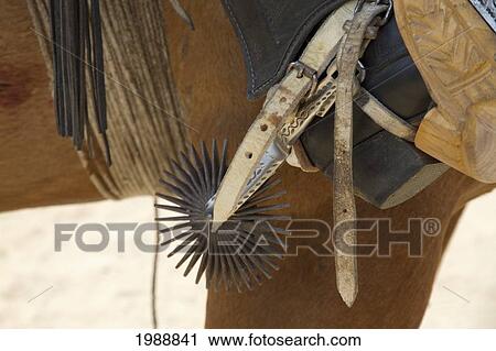 Stock Image - Huaso Wearing A Spur On His Boots At The Medialuna Of Estancia El Cuadro, Casablanca Valley, Valparaiso Region, Chile. Fotosearch