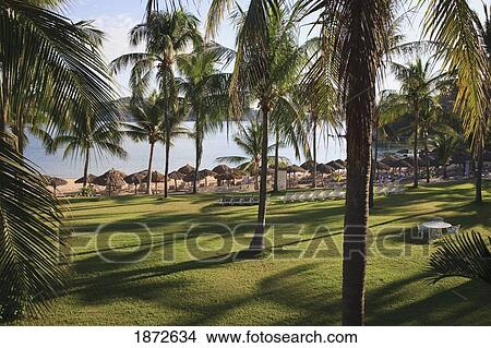 Picture - Huatulco, Mexico; Las Brisas Resort. Fotosearch