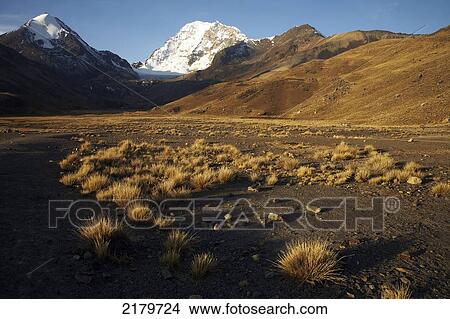 Picture - Huayna Potosi Peak At Sunset Cordillera Real Bolivia. Fotosearch