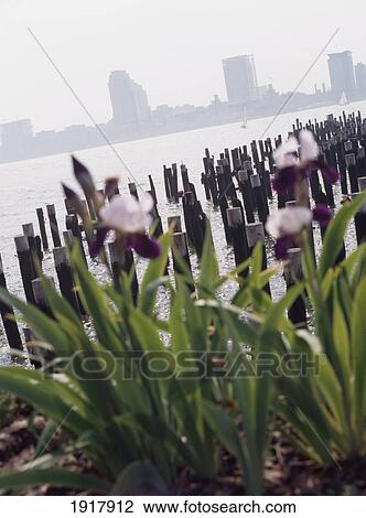 Hudson River Park View Large Photo Image Stock Image - Hudson River Park. Fotosearch