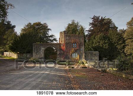 Stock Photo - Hulne Park; Northumberland, England. Fotosearch