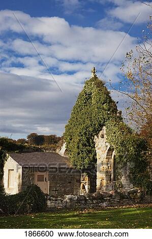 Hulne Park Priory; Northumberland, England View Large Photo Image Stock Image - Hulne Park Priory; Northumberland, England. Fotosearch