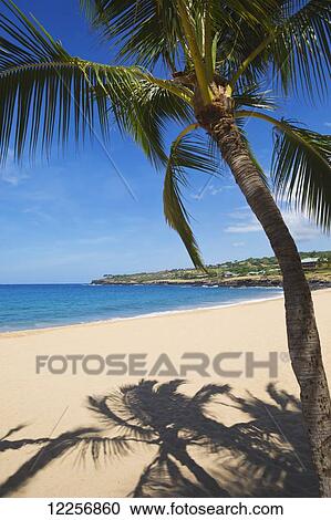 Hulupoe Beach, Manele Bay; Lanai, Hawaii, United States of America View Large Photo Image Stock Image - Hulupoe Beach, Manele Bay; Lanai, Hawaii, United States of America. Fotosearch