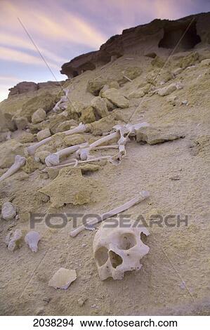 Human Remains And Bones Scattered Near Tombs Outside The Town Of Siwa At The Siwa Oasis; Siwa Egypt View Large Photo Image Picture - Human Remains And Bones Scattered Near Tombs Outside The Town Of Siwa At The Siwa Oasis; Siwa Egypt. Fotosearch
