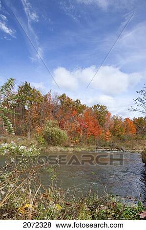 Stock Photo - Humber River Off Of Humber Trail In Autumn, Toronto, Ontario, Canada. Fotosearch