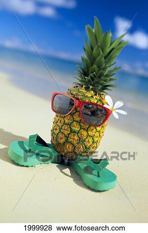 Stock Photo - Humorous Pineapple Dressed Up With Sunglasses, Flower And Pair Of Slippers C1478. Fotosearch