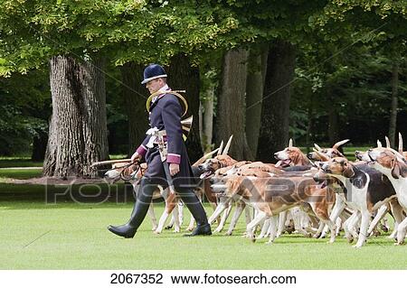 Stock Image - Hunting Dogs In The Park Of Chateau De Cheverny, Cheverny, France. Fotosearch