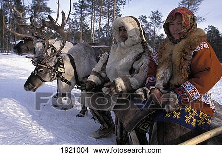 Picture - Husband And Wife From Khanty Tribe And Reindeer, In The Snow. Siberia, Russia.. Fotosearch