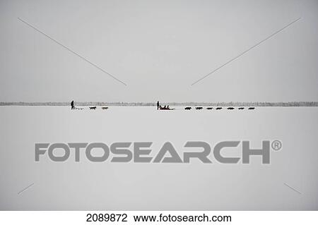 Stock Image - Husky Sled Tour At The Polar Speed Husky Farm, Levi, Lapland, Finland. Fotosearch