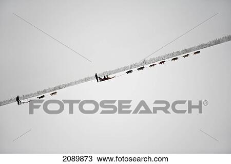 Husky Sled Tour At The Polar Speed Husky Farm, Levi, Lapland, Finland View Large Photo Image Stock Image - Husky Sled Tour At The Polar Speed Husky Farm, Levi, Lapland, Finland. Fotosearch