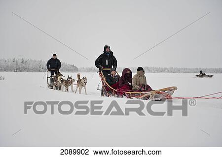Stock Image - Husky Sled Tour At The Polar Speed Husky Farm, Levi, Lapland, Finland. Fotosearch