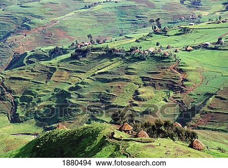 Picture - Huts Along Green Hilly Landscape. Fotosearch