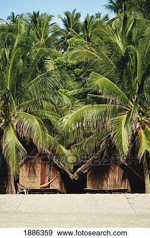 Stock Photo - Huts At Chaweng Beach, Koh Samui. Fotosearch