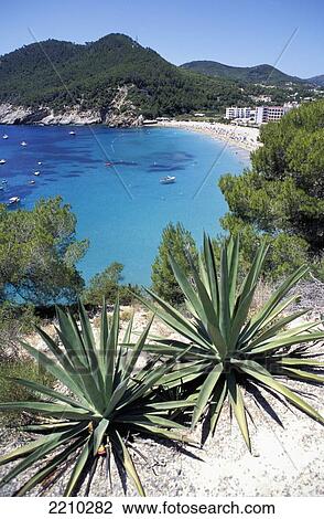 Stock Image - Ibiza Beach; Spain. Fotosearch