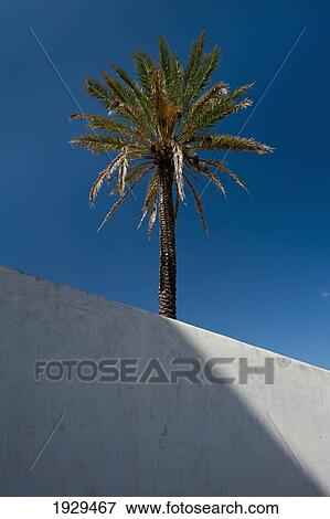 Stock Photo - Ibiza Town, Ibiza, Spain. Fotosearch