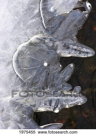 Stock Photography - Ice Abstract 1, Massachusetts, Seekonk, Caratunk Wildlife Refuge, Close-Up Of Pattern In Ice.. Fotosearch