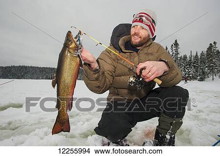 Ice fisherman holding a large brook trout; Ontario, Canada View Large Photo Image Picture - Ice fisherman holding a large brook trout; Ontario, Canada. Fotosearch