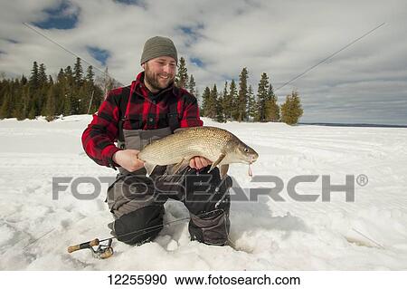 Ice fisherman holding a large whitefish; Ontario, Canada View Large Photo Image Stock Image - Ice fisherman holding a large whitefish; Ontario, Canada. Fotosearch