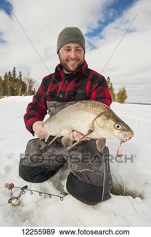 Ice fisherman holding a large whitefish; Ontario, Canada View Large Photo Image Stock Photo - Ice fisherman holding a large whitefish; Ontario, Canada. Fotosearch