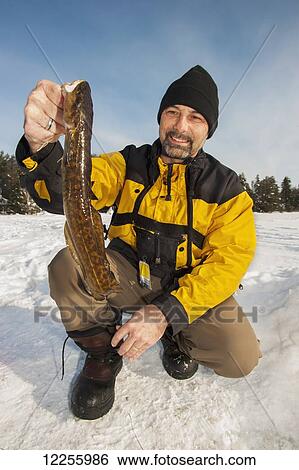 Stock Photograph - Ice fisherman holding a ling fish; Ontario, Canada. Fotosearch