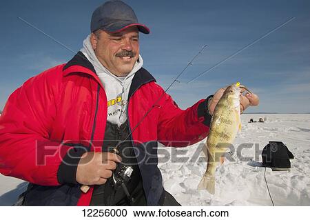 Ice fisherman holding a walleye fish; Ontario, Canada View Large Photo Image Stock Image - Ice fisherman holding a walleye fish; Ontario, Canada. Fotosearch
