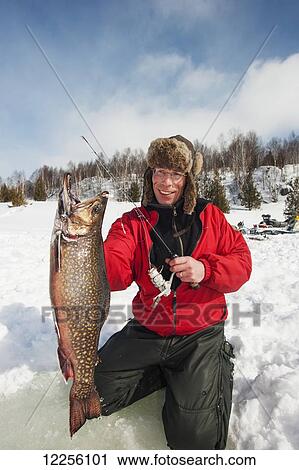 Ice fisherman holds a large winter brook trout (Salvelinus fontinalis); Ontario, Canada View Large Photo Image Stock Image - Ice fisherman holds a large winter brook trout (Salvelinus fontinalis); Ontario, Canada. Fotosearch