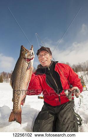 Ice fisherman holds a large winter brook trout (Salvelinus fontinalis); Ontario, Canada View Large Photo Image Stock Image - Ice fisherman holds a large winter brook trout (Salvelinus fontinalis); Ontario, Canada. Fotosearch