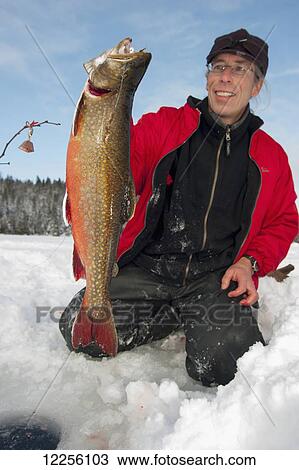 Ice fisherman holds a large winter brook trout (Salvelinus fontinalis); Ontario, Canada View Large Photo Image Stock Image - Ice fisherman holds a large winter brook trout (Salvelinus fontinalis); Ontario, Canada. Fotosearch