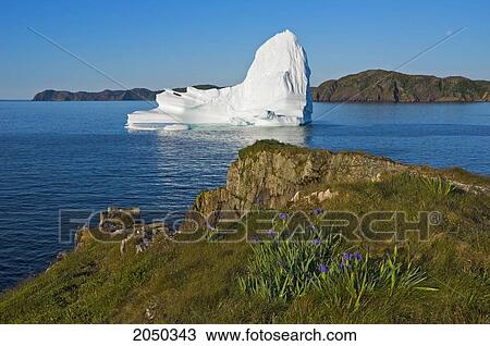 Stock Image - Iceberg Floats In Trinity Bay Off The Bonavista Peninsula With Rocky Shoreline, Eastern Newfoundland. Fotosearch