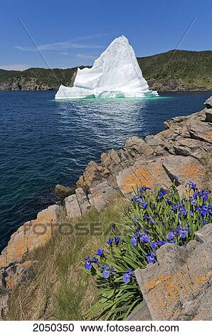 Stock Image - Iceberg Floats In Trinity Bay Off The Bonavista Peninsula With Rocky Shoreline, Eastern Newfoundland. Fotosearch