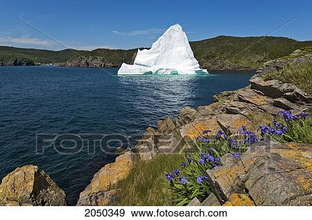 Stock Photo - Iceberg Floats In Trinity Bay Off The Bonavista Peninsula With Rocky Shoreline, Eastern Newfoundland. Fotosearch