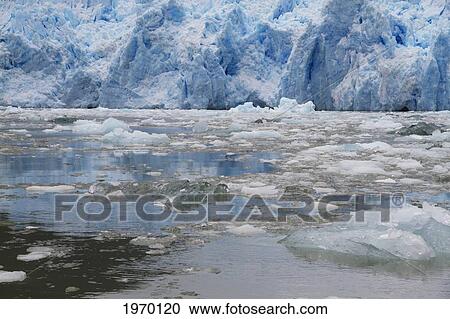 Icebergs In Laguna San Rafael In Front Of San Rafael Glacier, Laguna San Rafael National Park, Aysen Region, Chile View Large Photo Image Stock Image - Icebergs In Laguna San Rafael In Front Of San Rafael Glacier, Laguna San Rafael National Park, Aysen Region, Chile. Fotosearch