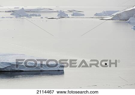 Stock Photo - Icebergs In The Water; Antarctica. Fotosearch