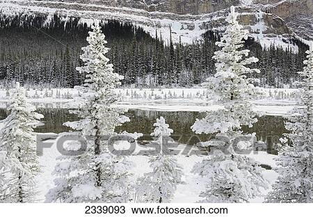Icefields Parkway In Jasper National Park; Alberta, Canada View Large Photo Image Stock Image - Icefields Parkway In Jasper National Park; Alberta, Canada. Fotosearch
