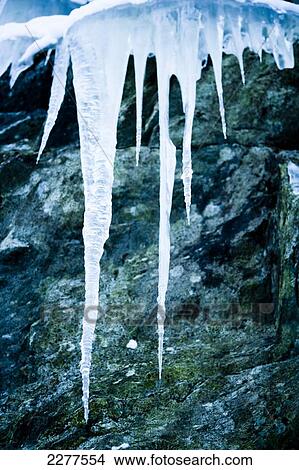 Picture - Icicles at the roadside from a frozen stream and waterfall caught in stasis, contrasting against the dark rocks; Ortnevik, Sognefjord, Norway. Fotosearch