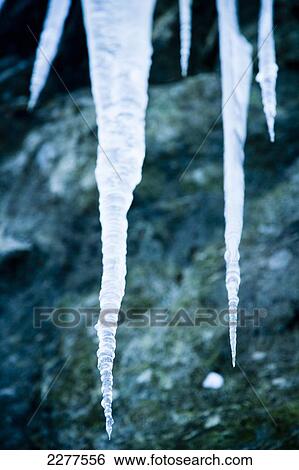Icicles at the roadside from a frozen stream and waterfall caught in stasis, contrasting against the dark rocks; Ortnevik, Sognefjord, Norway View Large Photo Image Stock Photograph - Icicles at the roadside from a frozen stream and waterfall caught in stasis, contrasting against the dark rocks; Ortnevik, Sognefjord, Norway. Fotosearch
