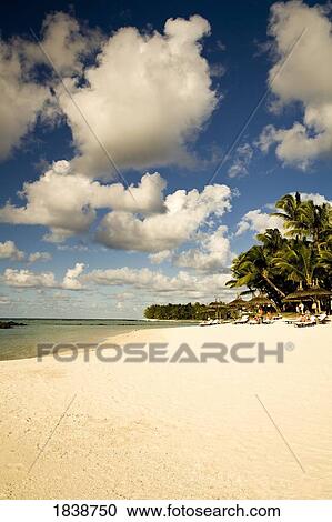Stock Image - Idyllic Beach And Pam Trees; Flacq, Mauritius. Fotosearch