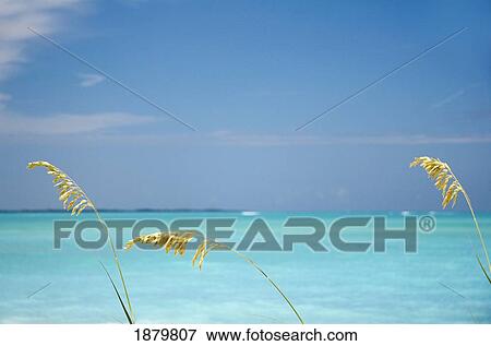 Idyllic Coastal Scene View Large Photo Image Stock Photo - Idyllic Coastal Scene. Fotosearch