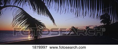 Stock Photo - Idyllic Tropical Beach At Sunset. Fotosearch