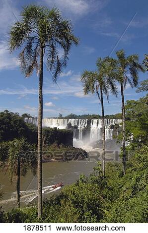 Stock Image - Iguacu Falls And Palm Trees. Fotosearch