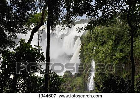 Stock Photo - Iguazu Falls National Park, Misiones, Argentina. Fotosearch