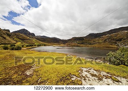 Stock Image - Illincocha lake, Cajas National Park, Azuay, Ecuador. Fotosearch