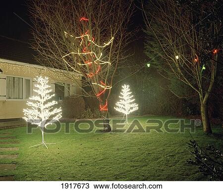 Illuminated Christmas Trees View Large Photo Image Stock Image - Illuminated Christmas Trees. Fotosearch