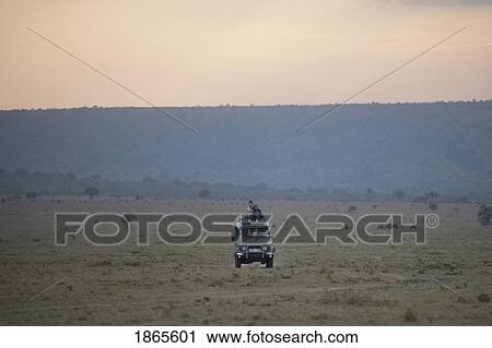 In The Savannah, Kenya, Africa View Large Photo Image Stock Image - In The Savannah, Kenya, Africa. Fotosearch