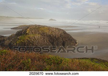 Incinerator Rock Area Of Long Beach In Pacific Rim National Park Near Tofino; British Columbia Canada View Large Photo Image Stock Image - Incinerator Rock Area Of Long Beach In Pacific Rim National Park Near Tofino; British Columbia Canada. Fotosearch