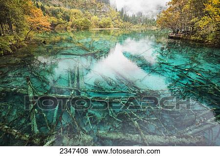 Stock Photo - Incredible Colors Of Autumn Leaves And Water In The Lake With Dead Trees At Jiuzhaigou Valley National Park; Jiuzhaigou, Sichuan, China. Fotosearch
