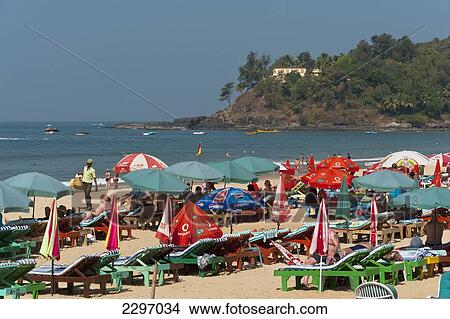 Picture - India, Goa, Beach scene; Baga. Fotosearch