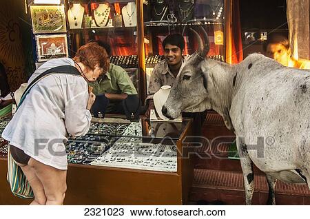 India, Goa, Sacred Cow In Tourist Market; Palolem View Large Photo Image Stock Image - India, Goa, Sacred Cow In Tourist Market; Palolem. Fotosearch