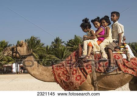 Stock Photography - India, Karnataka, Kids Riding Camel On Beach; Udupi. Fotosearch